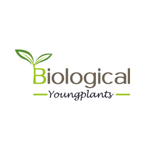 biológico-jóvenes plantas 300x300 v2